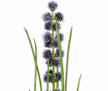 Laden Sie das Bild in den Galerie-Viewer, Wiesen-Allium blau