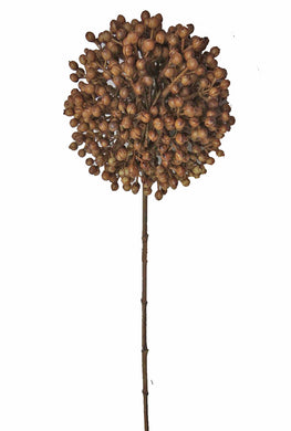 Allium-Kugel 'Dried Nature', braun