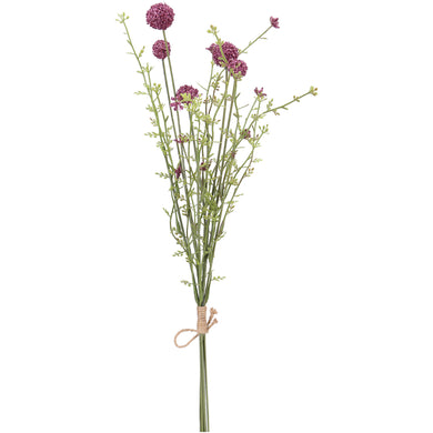 Allium-Bund 'Baila' x 5 heidelbeere