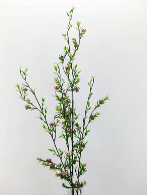 Blüten-Beeren-Zweig malve
