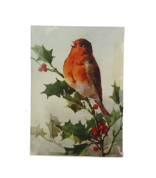 Duftbeutel Rotkehlchen (Pinie)