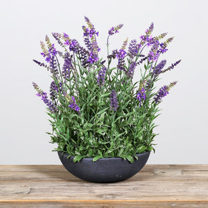 Lavendel-Arrangement in grauer Schale