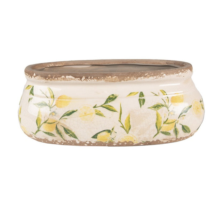Jardiniere 'Zitrone'