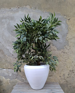 Kübel 'Lagio' snow white
