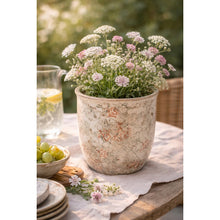 Laden Sie das Bild in den Galerie-Viewer, Blumentopf 'Helen'