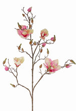 Laden Sie das Bild in den Galerie-Viewer, Magnolien-Zweig rosa-creme