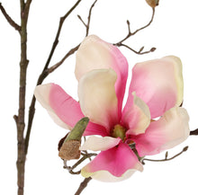 Laden Sie das Bild in den Galerie-Viewer, Magnolien-Zweig rosa-creme