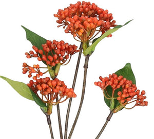 Beeren-Zweig 'Halina' x5, orange