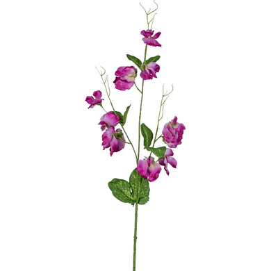 Wicke 'Sweat Pea' pink