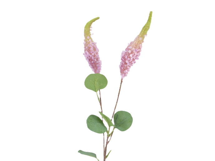 Sommerflieder altrosa x 2
