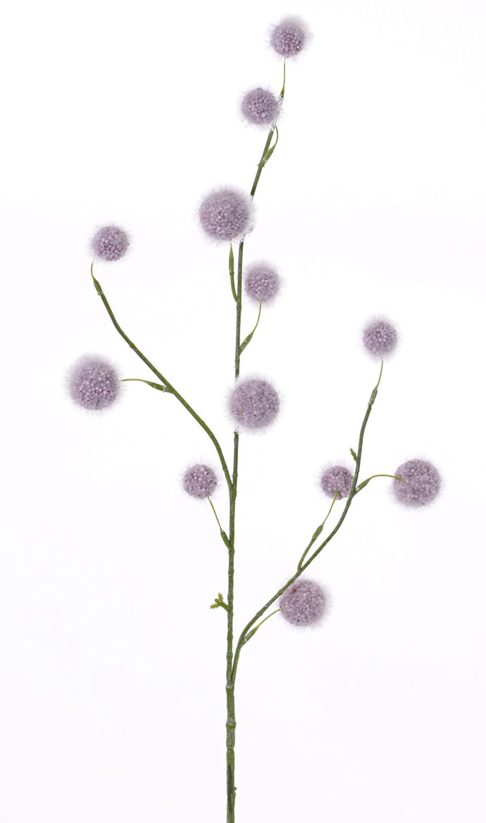 Allium 'Summer Breeze' lavendel
