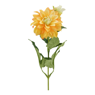 Dahlie 'Flavia' orange