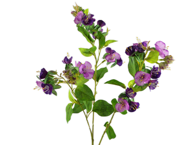 Himmelsleiter violet