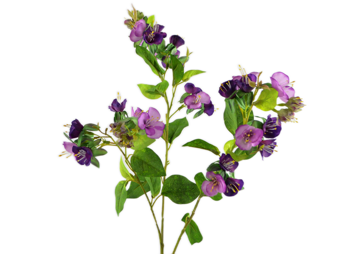 Himmelsleiter violet