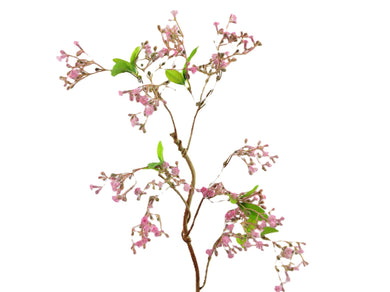 Schleierkraut-Zweig mit Blättern rosa