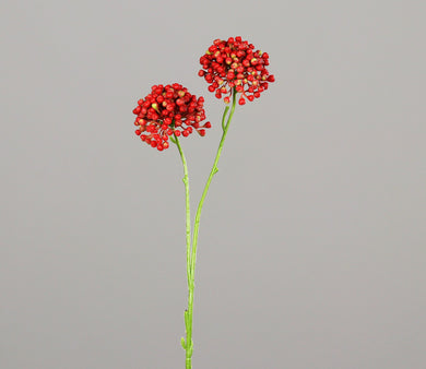 Beerenzweig mit 2 Dolden, red