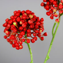 Laden Sie das Bild in den Galerie-Viewer, Beerenzweig mit 2 Dolden, red
