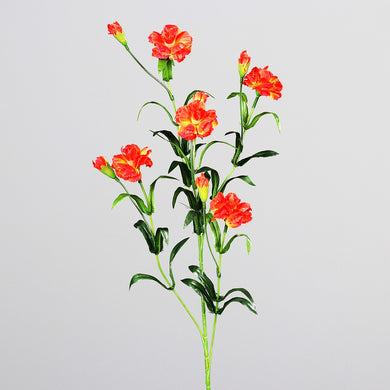 Nelken-Zweig, orange