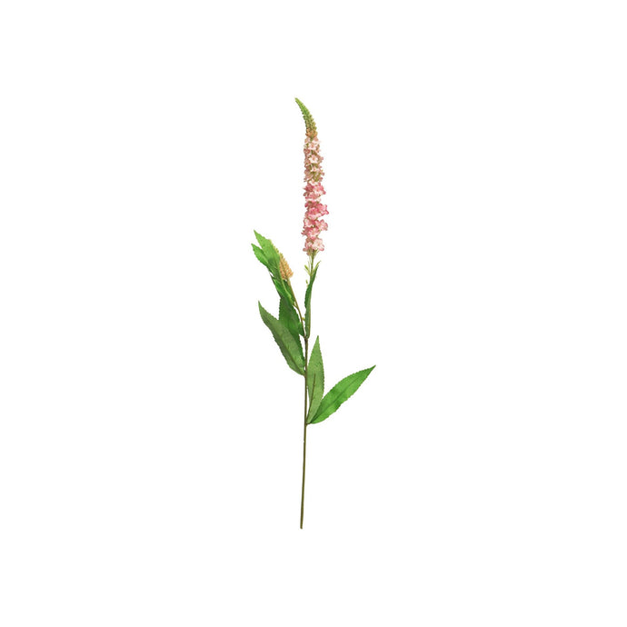 Veronika-Zweig 'Colet', pink