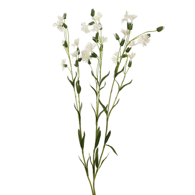 Mini-Kornblume x 3 weiß
