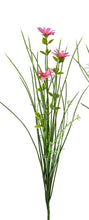 Laden Sie das Bild in den Galerie-Viewer, Margeriten-Gras-Zweig 'Lea' rosa