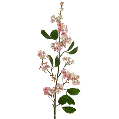 Schneeball-Zweig rosa