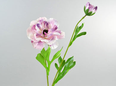 Anemonen-Zweig 'Vicky' lavendel