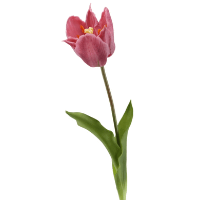 Kronen-Tulpe soft touch lila gr.