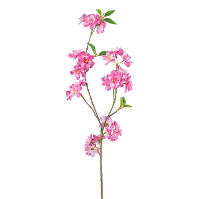 Kirschblüten-Zweig rosa