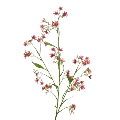 Blütenzweig 'Gaura'  rosa