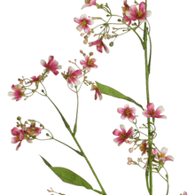 Laden Sie das Bild in den Galerie-Viewer, Blütenzweig &#39;Gaura&#39;  rosa