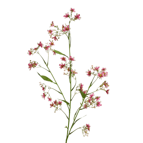 Blütenzweig 'Gaura'  rosa