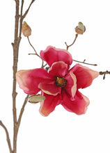 Laden Sie das Bild in den Galerie-Viewer, Magnolien-Zweig malve
