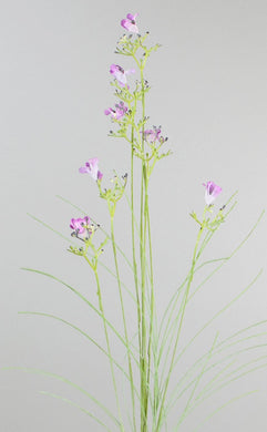 Monbretia lila