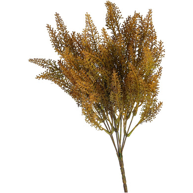Heide-Pick 'Elsi' x7, curry