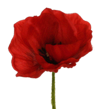 Laden Sie das Bild in den Galerie-Viewer, Mohn rot x 2