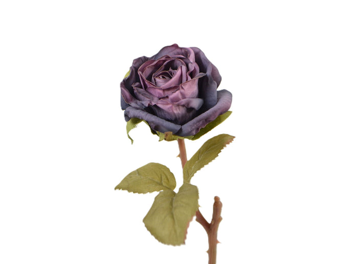 Rosen-Pick lila