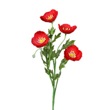 Laden Sie das Bild in den Galerie-Viewer, Mohn 'Trulla' rot