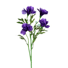 Laden Sie das Bild in den Galerie-Viewer, Inka-Lilie ( Iris) violet-blau