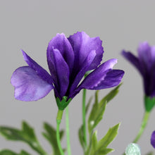 Laden Sie das Bild in den Galerie-Viewer, Inka-Lilie ( Iris) violet-blau