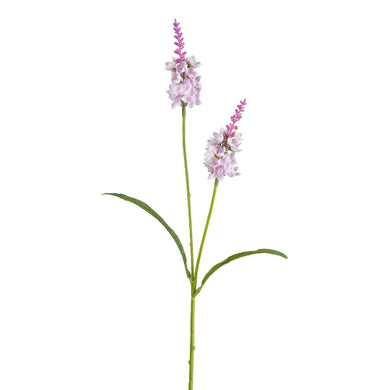 Händelwurz x 2, rosa