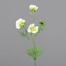 Laden Sie das Bild in den Galerie-Viewer, Cosmea creme-green
