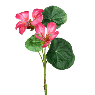 Kapuzinerkresse pink