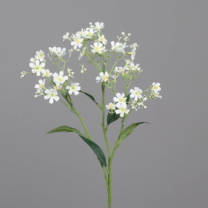 Blütenzweig, cream