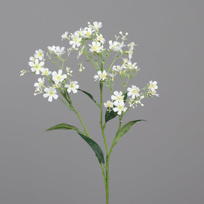 Blütenzweig, cream