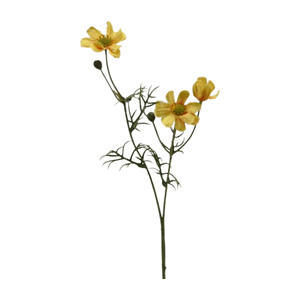 Cosmea 'Trixi' gelb