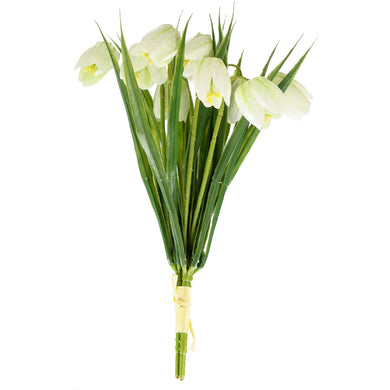 Fritilaria Bund 'Cami' x 3