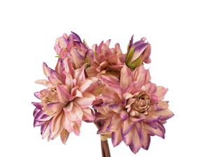 Dahlien-Bund rosa-lila