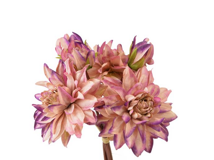 Dahlien-Bund rosa-lila