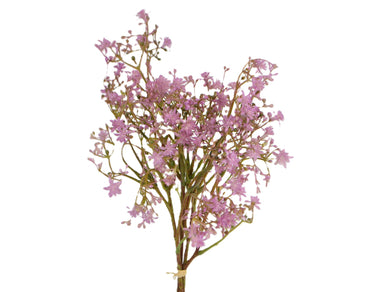 Sternblüten-Bündel lila